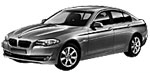 BMW F10 P309C Fault Code